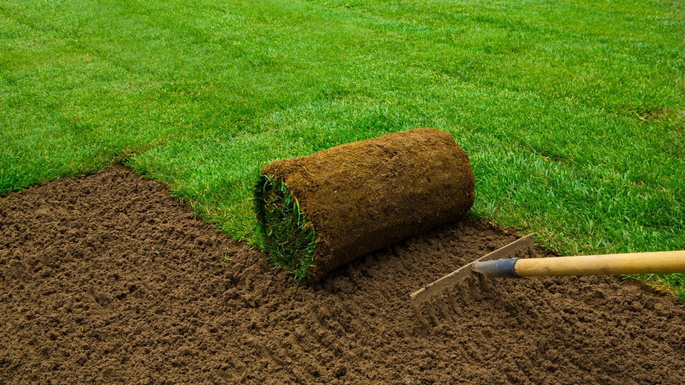 lawn installation